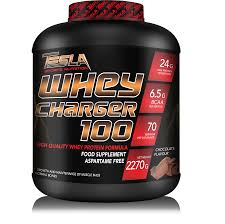 TESLA WHEY CHARGER 100